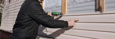 Best Custom Trim and Detailing for Siding  in Holiday Shores, IL